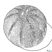 melon Coloring Pages To Print